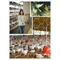 Clôture de ferme d&#39;agriculture / fabrication de fil hexagonale / barrière de lapin